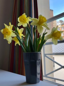 F5E21414-6138-4CFE-9891-3426E2E46EC4