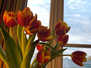 FF9229C6-61D8-403A-BE92-7DAF1C53D091