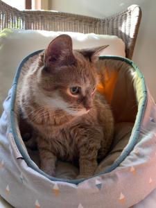 5B84BE6E-FE64-44FE-B4AF-3A0870EB6BD8